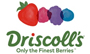 Driscoll's du Maroc
